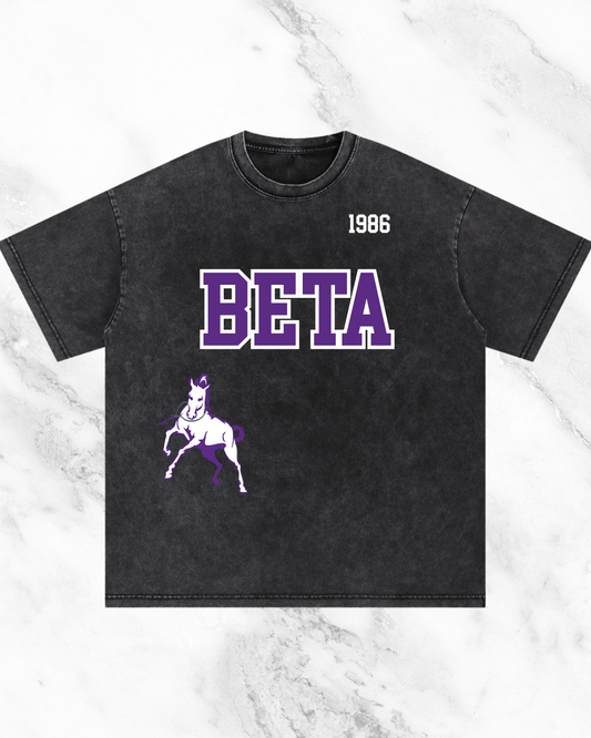 SLB Acid Wash Tee
