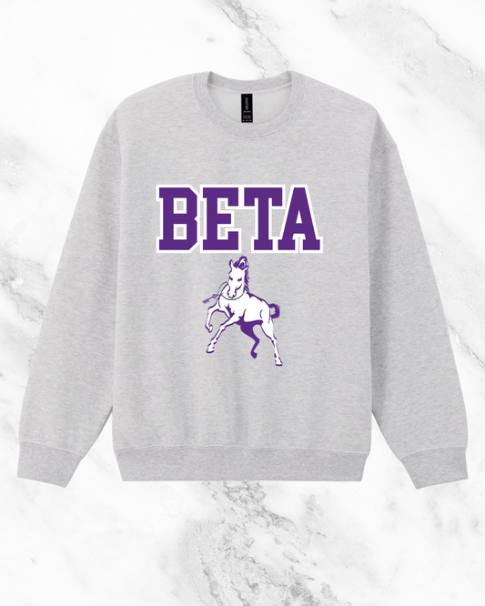 Beta Stallion Crew